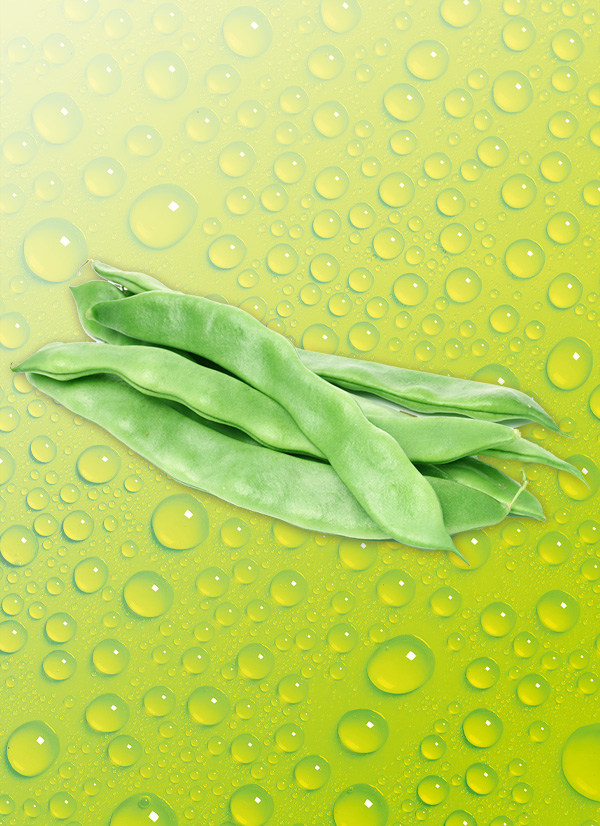 /ext/img/product/obst-und-gemuese/25_05_12/400_bohnen_w_1.jpg