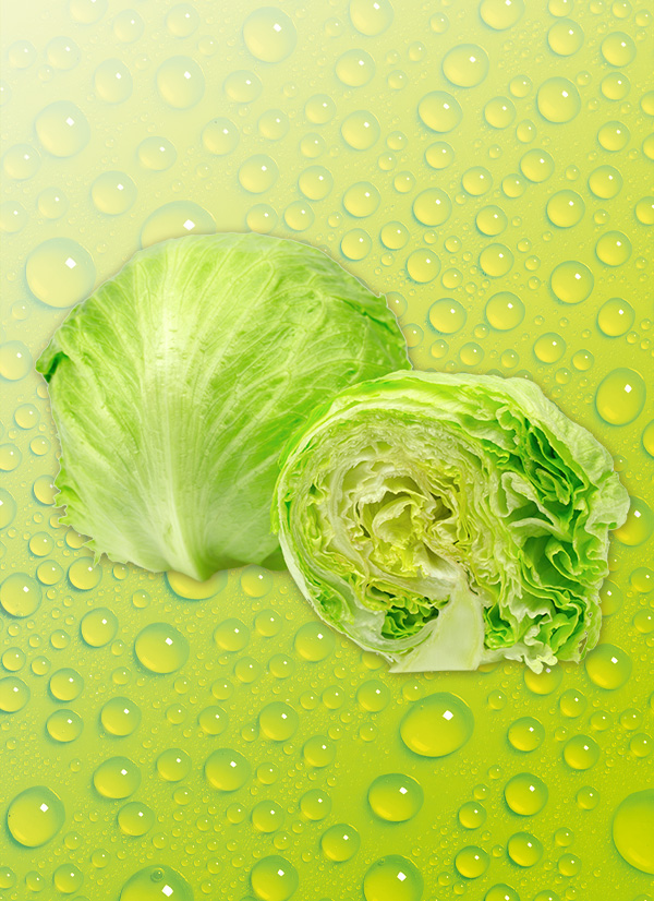 /ext/img/product/obst-und-gemuese/25_05_12/400_eisbergsalat_o_1.jpg