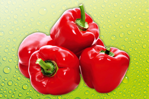 Paprika rot