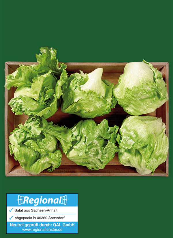 /ext/img/product/obst-und-gemuese/25_05_19/1400_eisbergsalat_1.jpg