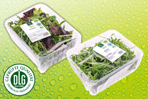 Bio-Salat