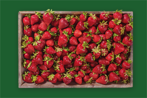 Erdbeeren aus unseren Landen
