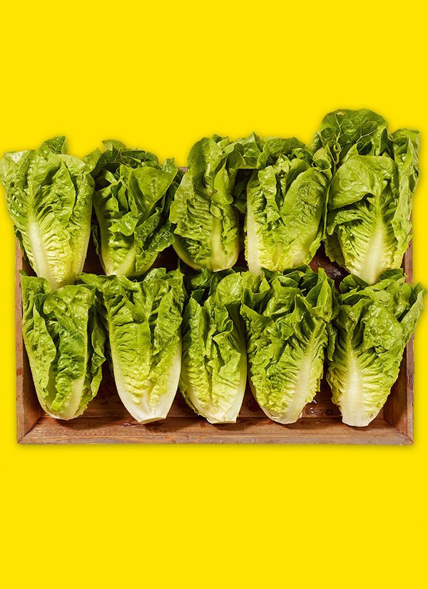 /ext/img/product/obst-und-gemuese/25_05_26/1700_mini-romana-salatherzen_1.jpg