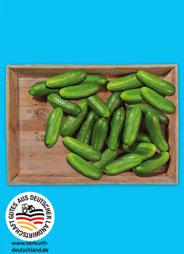 /ext/img/product/obst-und-gemuese/25_06_16/1400_bauerngurken_1.jpg