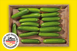 Produktbild »Mini Gurken aus Baden-Württemberg«