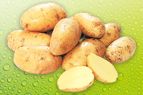 Produktbild »Speisefrühkartoffeln 1,5 kg«