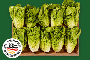 Produktbild »Magdeburger Börde Mini-Romana-Salat«