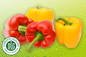 Produktbild »Bio Paprika«
