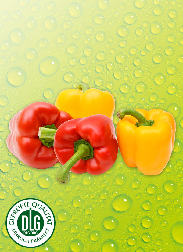 Produktbild »Bio Paprika«