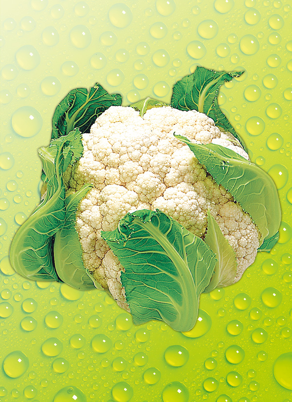 Produktbild »Blumenkohl«