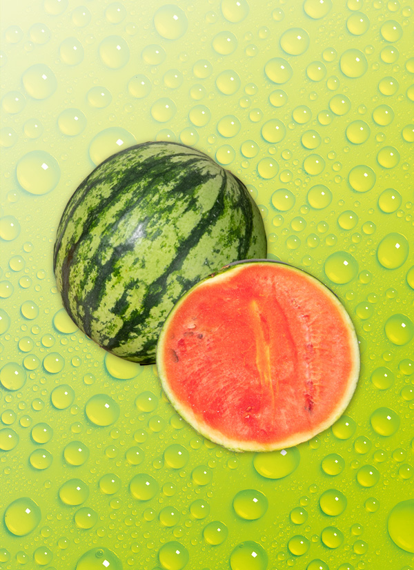 Produktbild »Mini Wassermelone«
