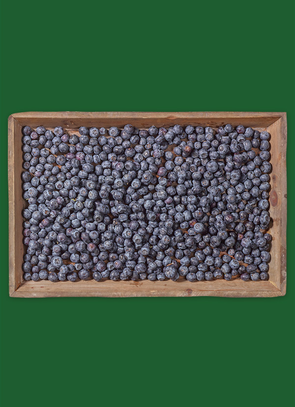 Produktbild »Brandenburger Kulturheidelbeeren«