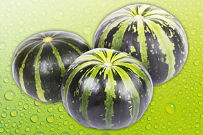 Mini Wassermelone