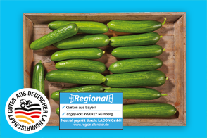 Produktbild »Bayerische Mini Gurken«