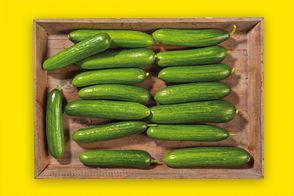 Produktbild »Mini Gurken aus Baden-Württemberg«