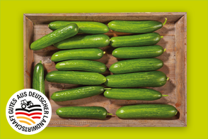 Produktbild »Rheinländer Mini-Gurken«