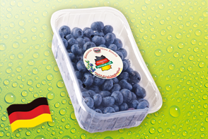 Kultur-Heidelbeeren