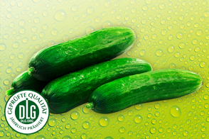 Produktbild »Mini Gurken 1 kg«