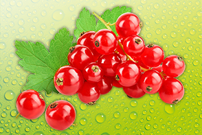 Produktbild »Johannisbeeren«