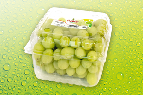 Produktbild »Tafeltrauben«