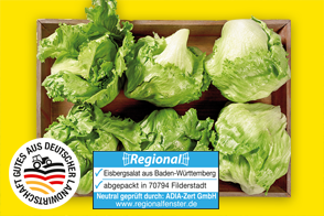 Produktbild »Filderstädter Eisbergsalat«
