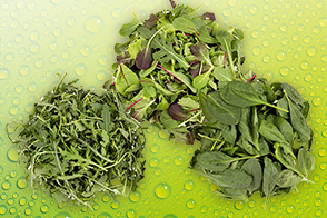 Bio-Salate