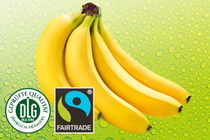 Produktbild »Bio-Bananen«