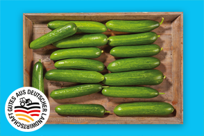 Produktbild »Bayerische Mini Gurken«