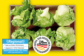 Produktbild »Filderstädter Eisbergsalat«