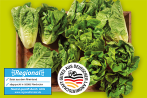 Produktbild »Rheinländer Mini Romana Salatherzen«