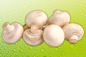 Champignons