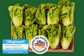 Magdeburger Börde Mini Romana Salatherzen