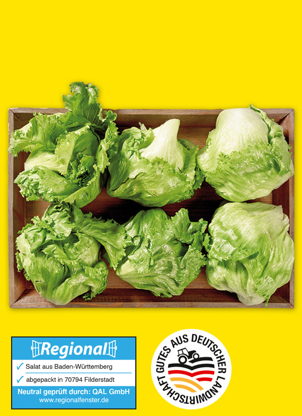 Produktbild »Filderstädter Eisbergsalat«