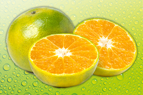 Satsumas