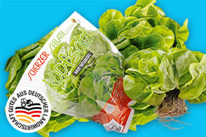 Produktbild »Bayerischer Kopfsalat mit Wurzelballen«
