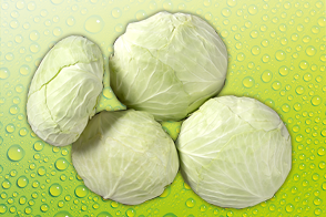 Flachkohl / Urkohl