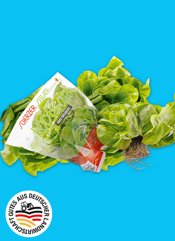 Produktbild »Bayerischer Kopfsalat mit Wurzelballen«