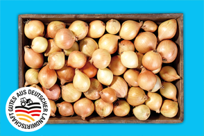 Bayerische Speisezwiebeln