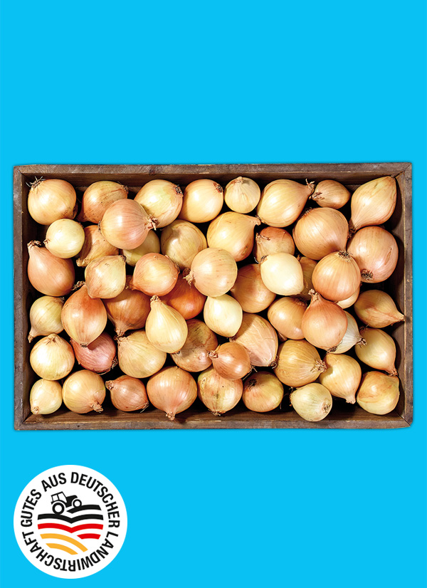 Produktbild »Bayerische Speisezwiebeln«
