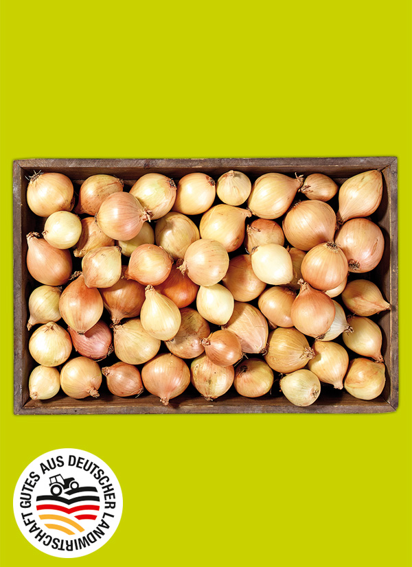 Produktbild »Pfälzer Speisezwiebeln«