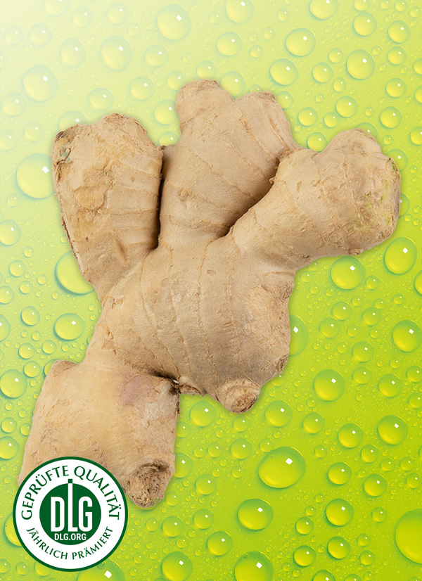 Produktbild »Bio Ingwer«