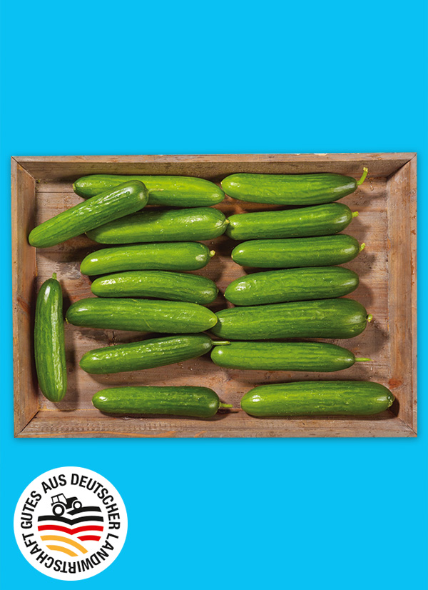 Produktbild »Bayerische Mini Gurken«