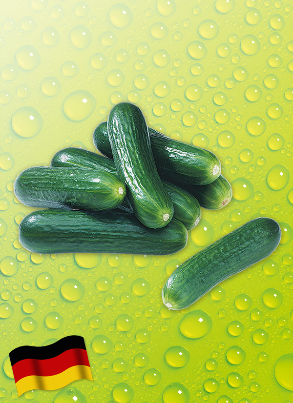 Produktbild »Bauerngurken«