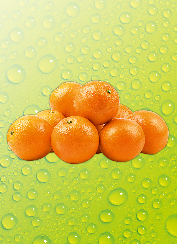 Produktbild »Orangen 4 kg«