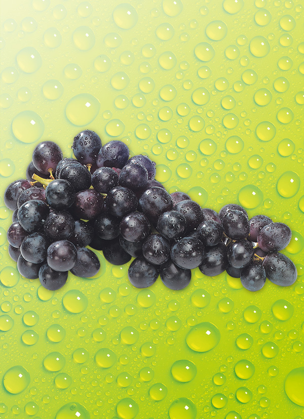 Produktbild »Tafeltrauben dunkel«