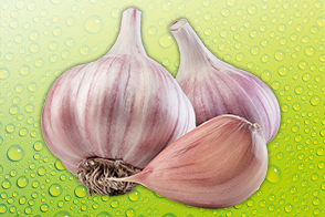 Knoblauch