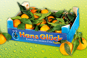 Produktbild »Clementinen mit Blatt«