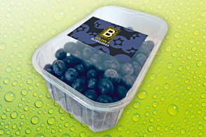 Produktbild »Heidelbeeren«