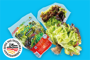 Produktbild »Bayerischer Kopfsalat mit Wurzelballen«