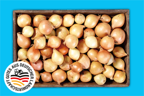 Produktbild »Bayerische Speisezwiebeln«